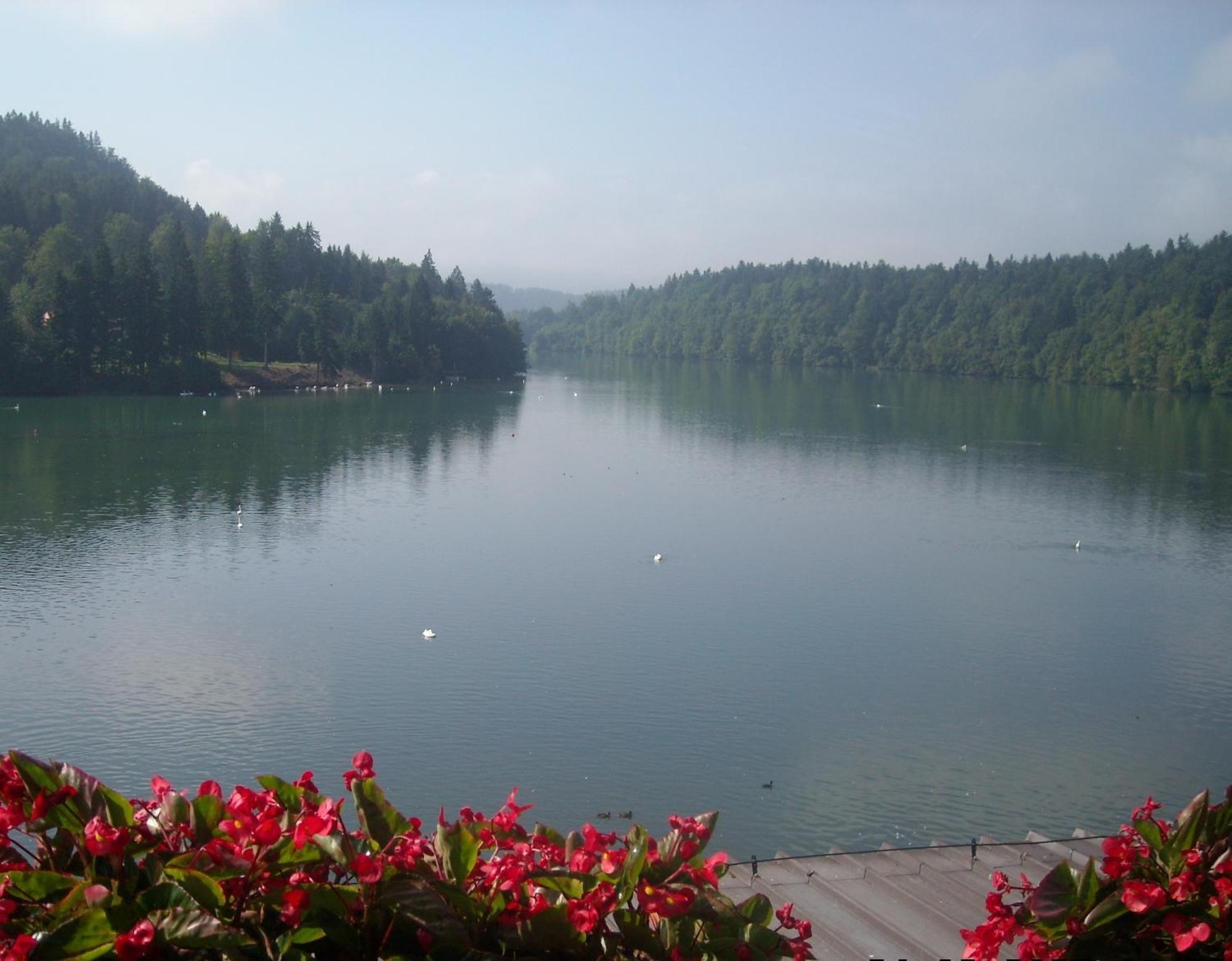 Bed and Breakfast Gostisce Jezero Medvode Exteriér fotografie